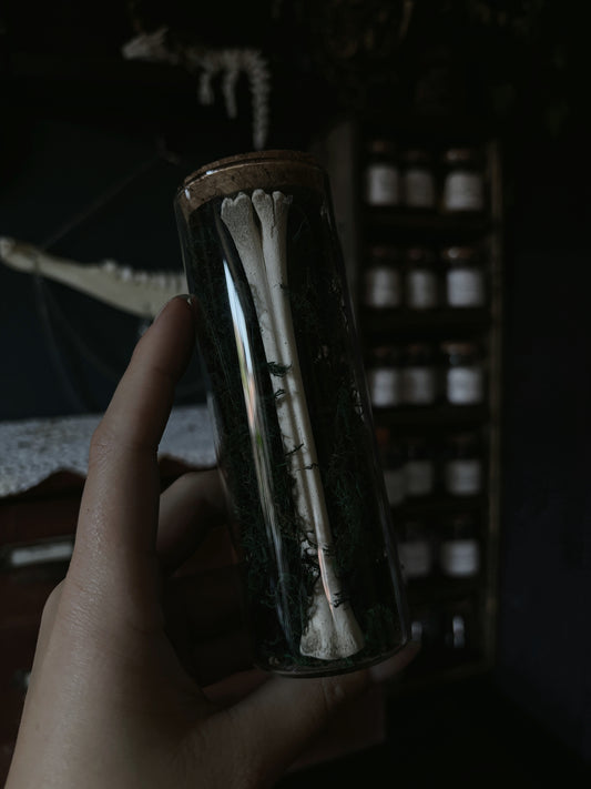 Bone vial (16cm)