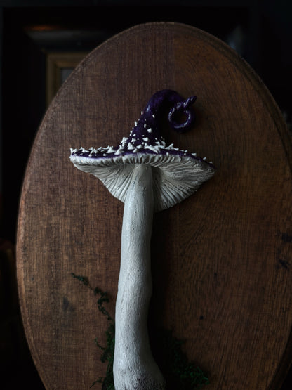 Witch’s Cap - Polymer Clay Mushroom (21,5x14cm)