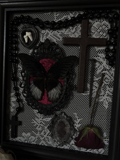 LACE RELICS – Papilio rumanzovia & Fox Tooth Gothic Frame (25x20cm)