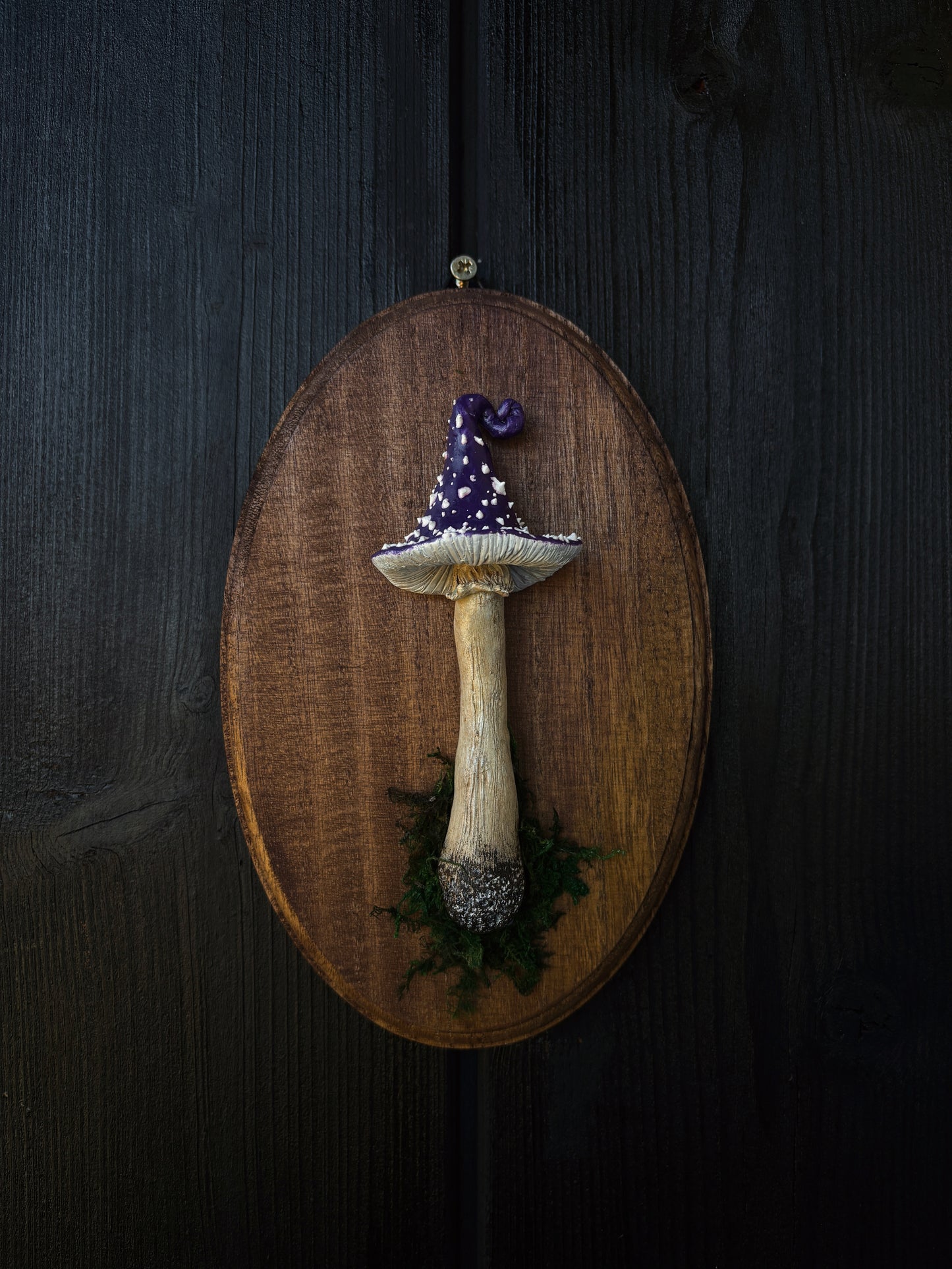 Witch’s Cap - Polymer Clay Mushroom (21,5x14cm)