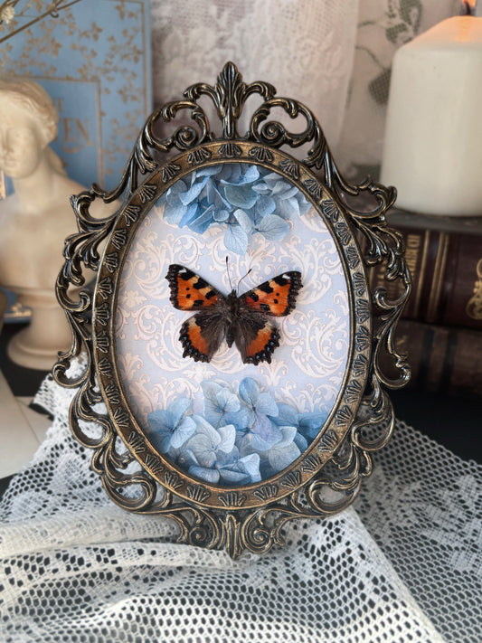 Hydrangea Correspondence - Vintage brass frame  (17x13cm)