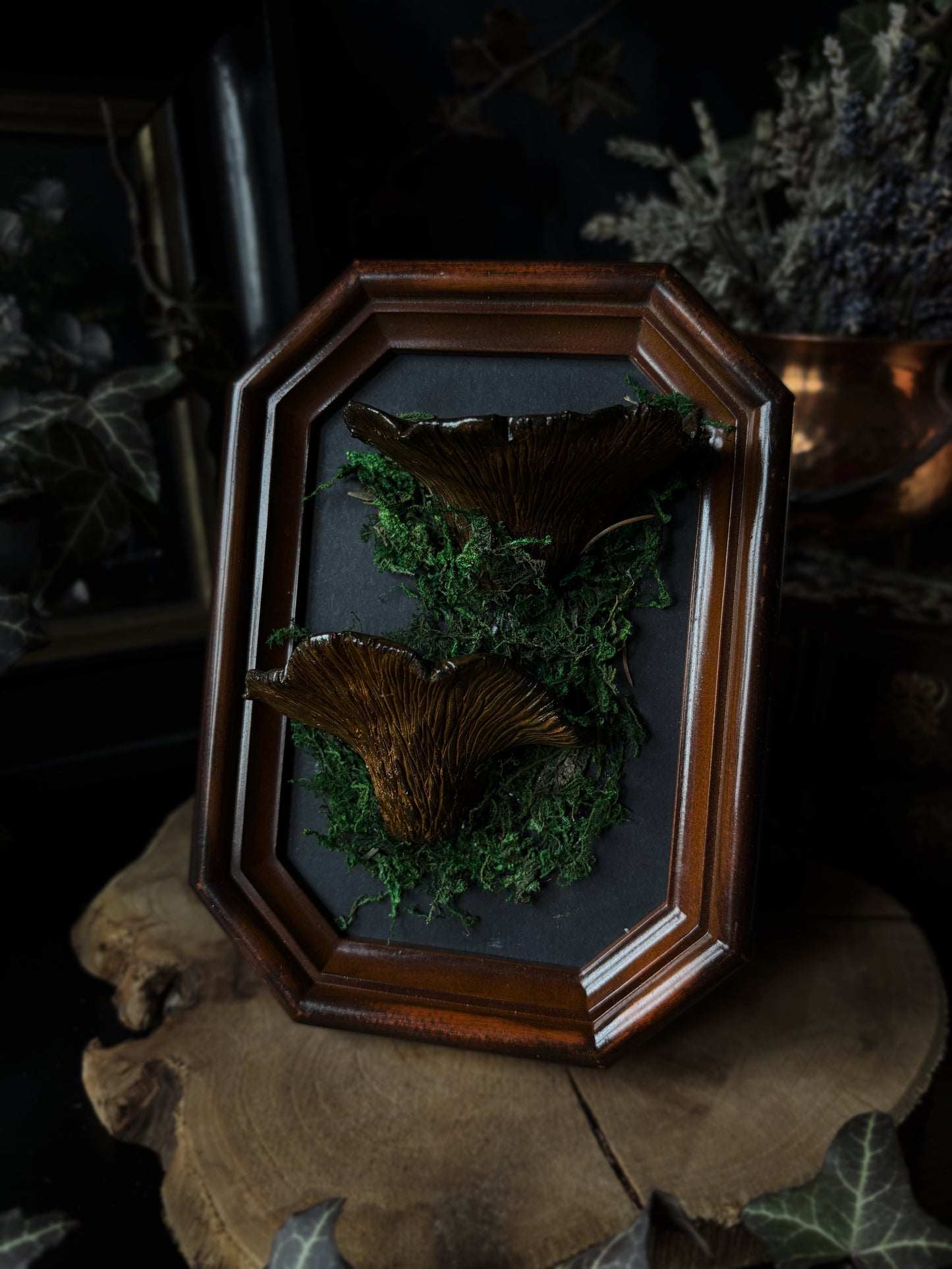 🍄 Chanterelle Mushrooms (Cantharellus cibarius)