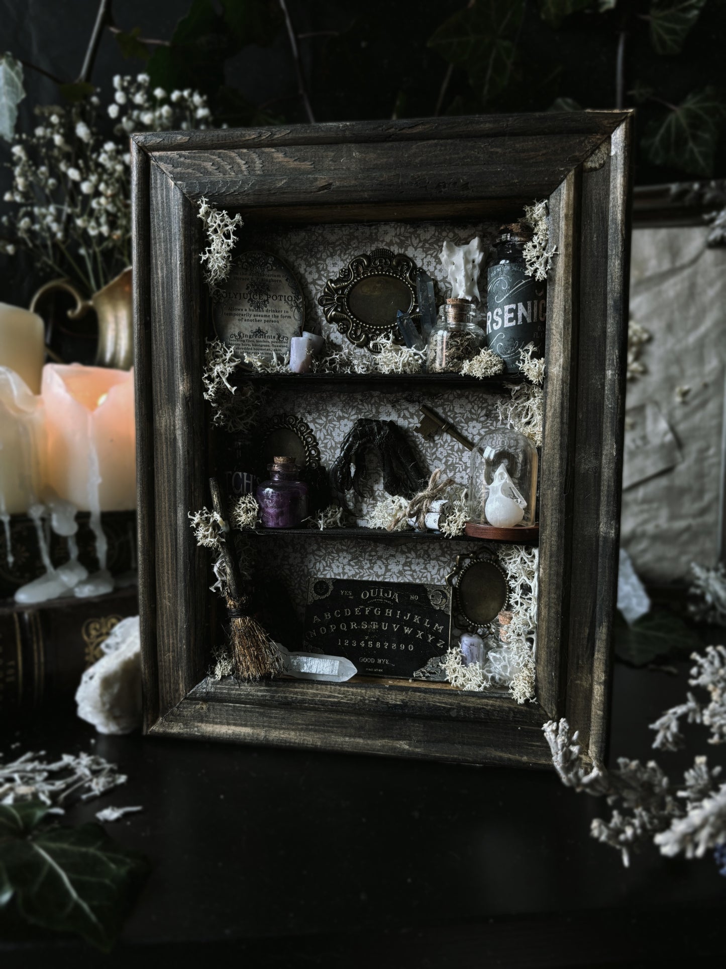 Witchy oddity shelf #4