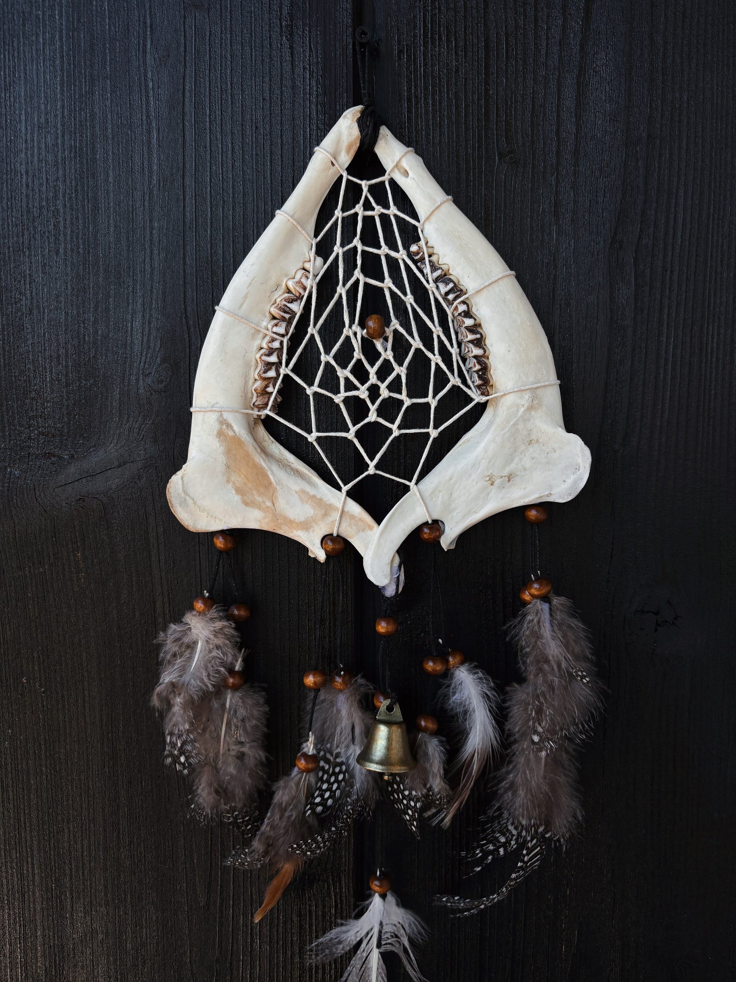 Forest Dreamer - Deer Jaw Dreamcatcher small
