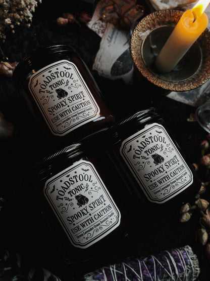 Toadstool Tonic Lavender Grass Candle