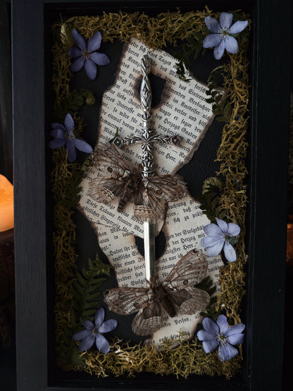 Sword Frame – Brahmaea europaea (22x12cm)