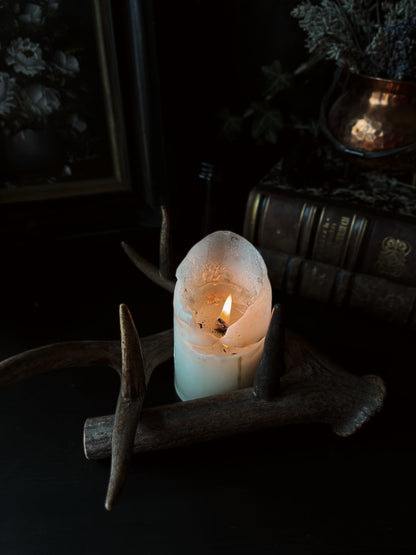 Forest Ritual | Antler Candle Holder