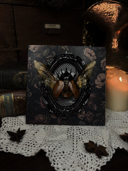 Beckius beccari (15x15cm)