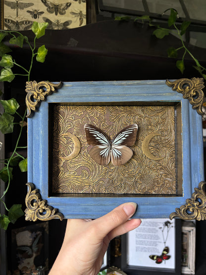 “Celestial Wings” – Framed Butterfly on Baroque Moonlit Tapestry (23x18cm)