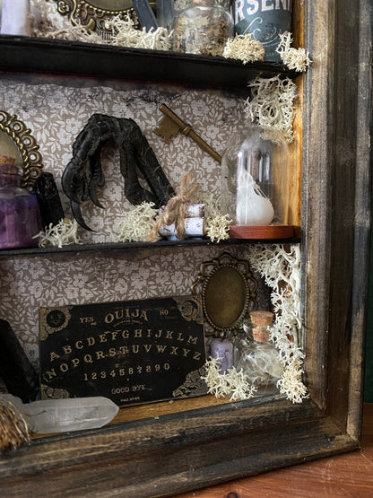 Witchy oddity shelf #4