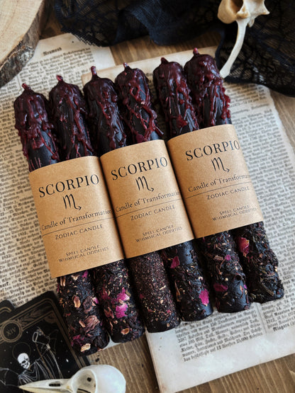 Scorpio | October 23 – November 21 | Zodiac Candle