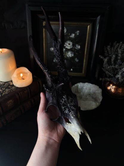 Vegvisir Deer Skull | Handcarved & Painted Bone Art