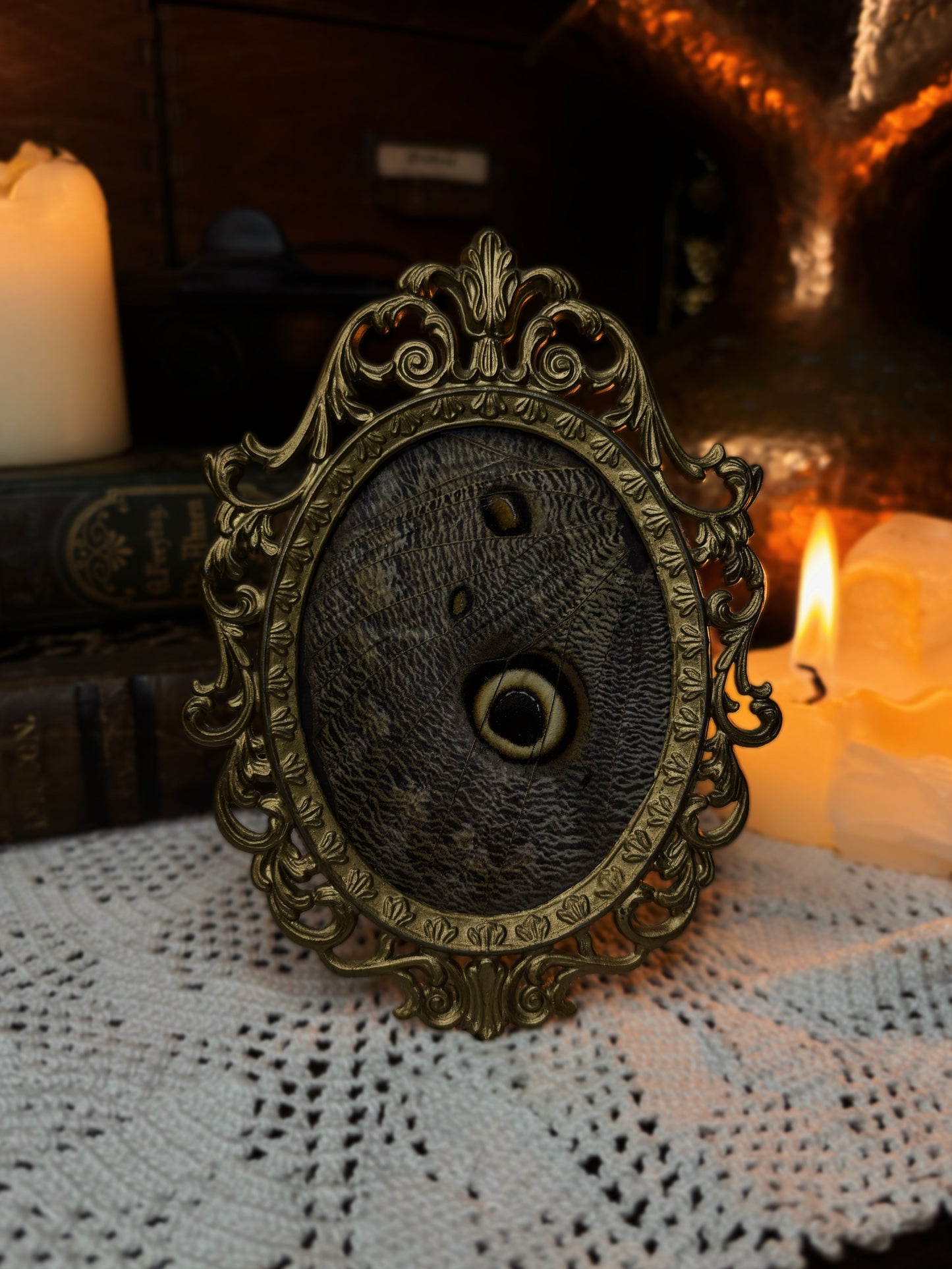 Brass vintage Frame - Caligo memnon (13x10cm)