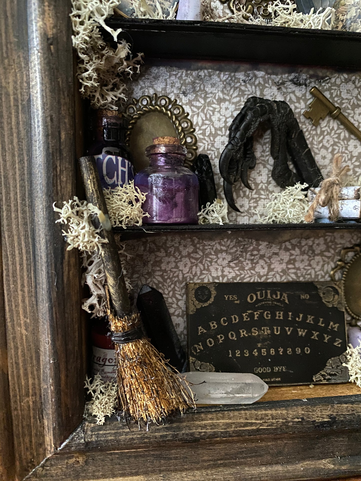 Witchy oddity shelf #4