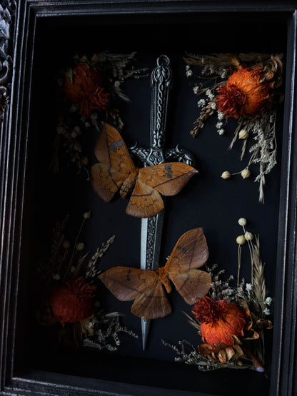 „Blade of Silence“ - Cricula trifenestrata javana (30x25cm)