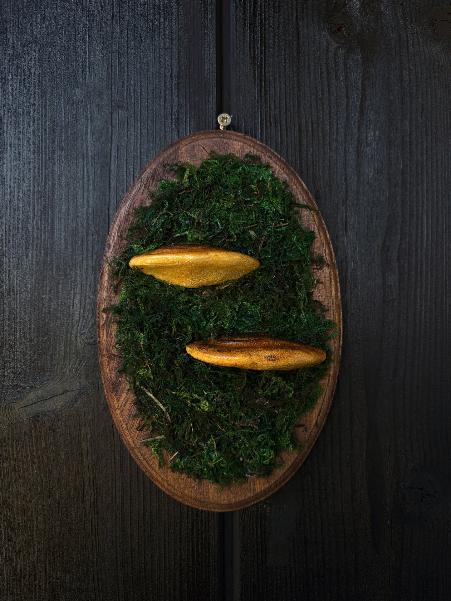 Shelf Mushroom - Polymer Clay Mushroom (21,5x14cm)