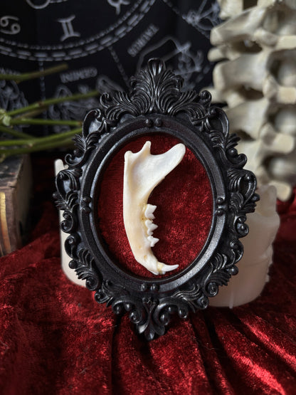 Ornament Frame - cat jaw