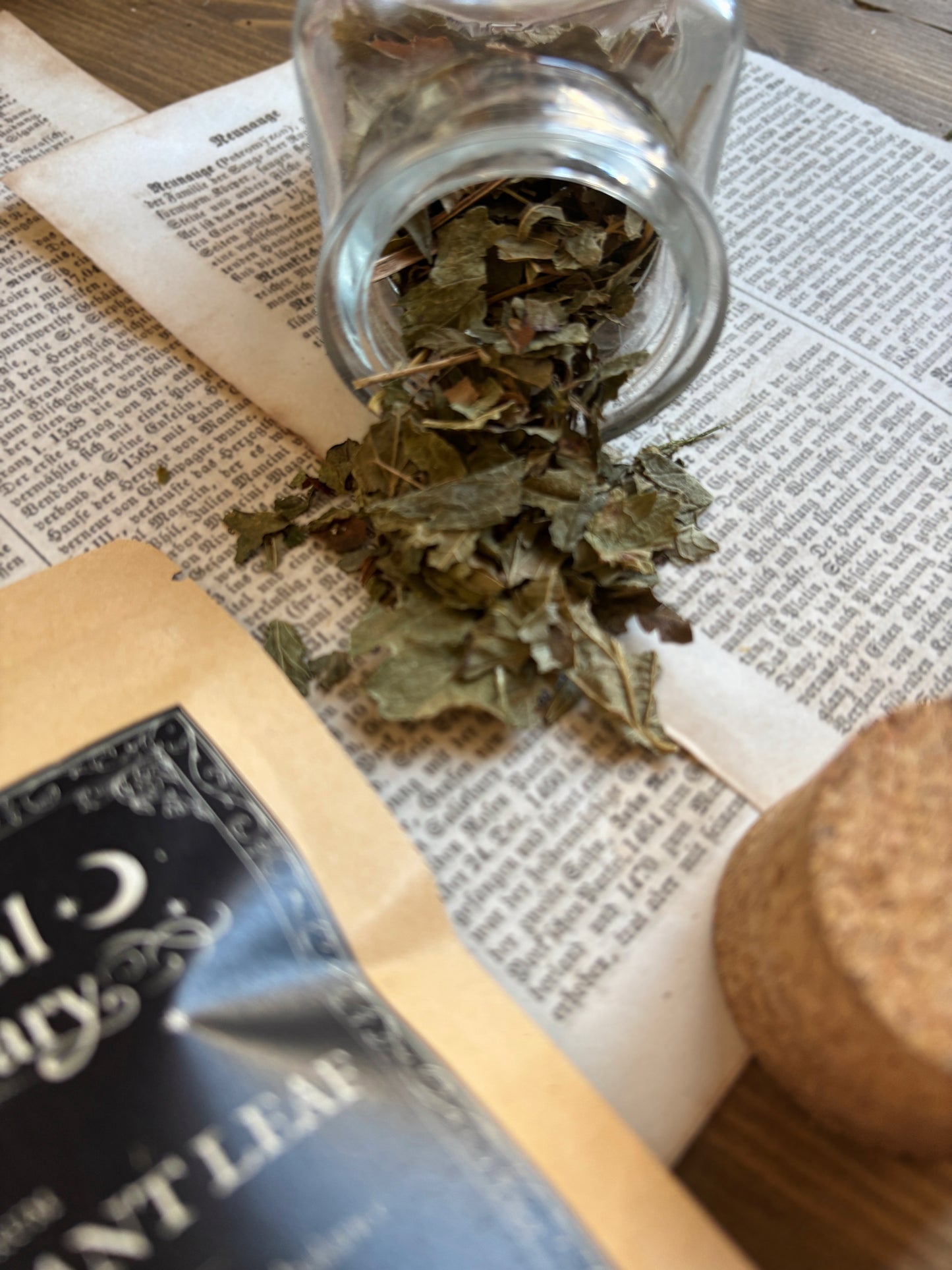 BLACKCURRANT LEAF ✦ dried leaves (40g)