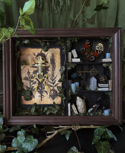 Forbidden forest Apothecary cabinet