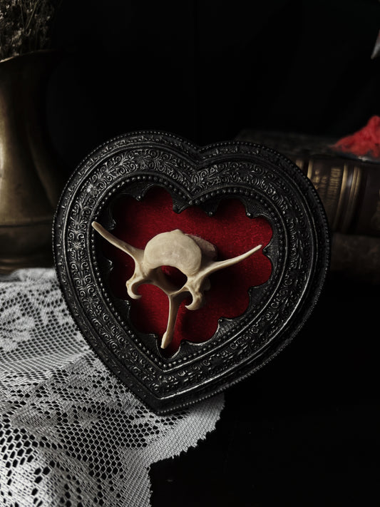 Heart frame - spinal bone