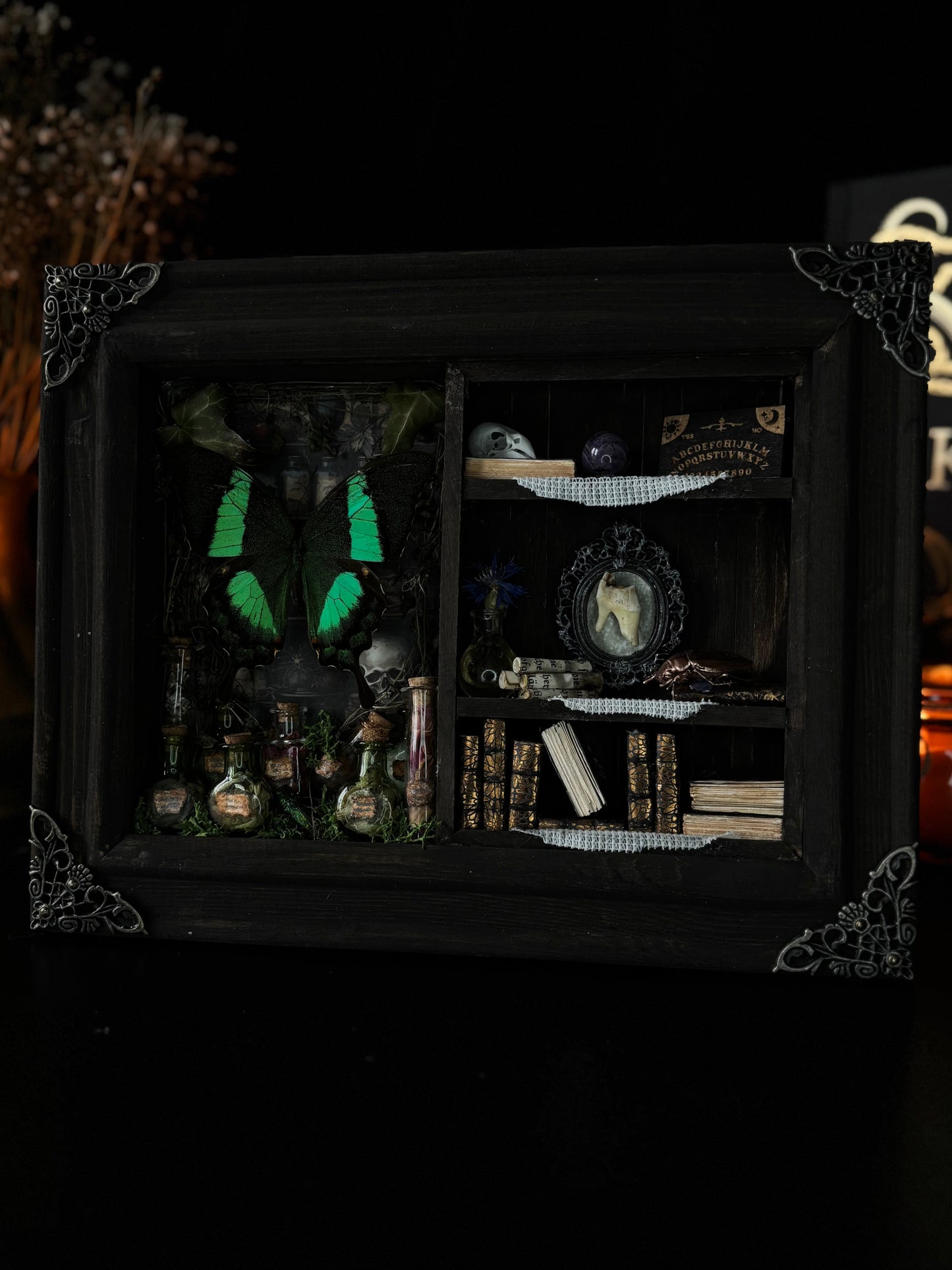 Miniature Witch’s Apothecary Shadow Box | Butterfly Curio Cabinet (23x18cm)