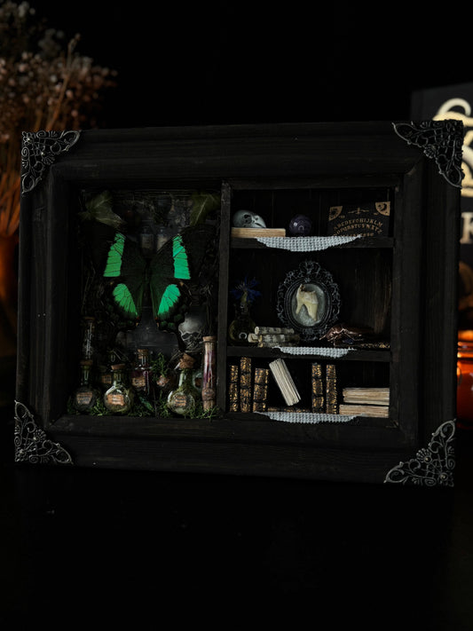 Miniature Witch’s Apothecary Shadow Box | Butterfly Curio Cabinet (23x18cm)