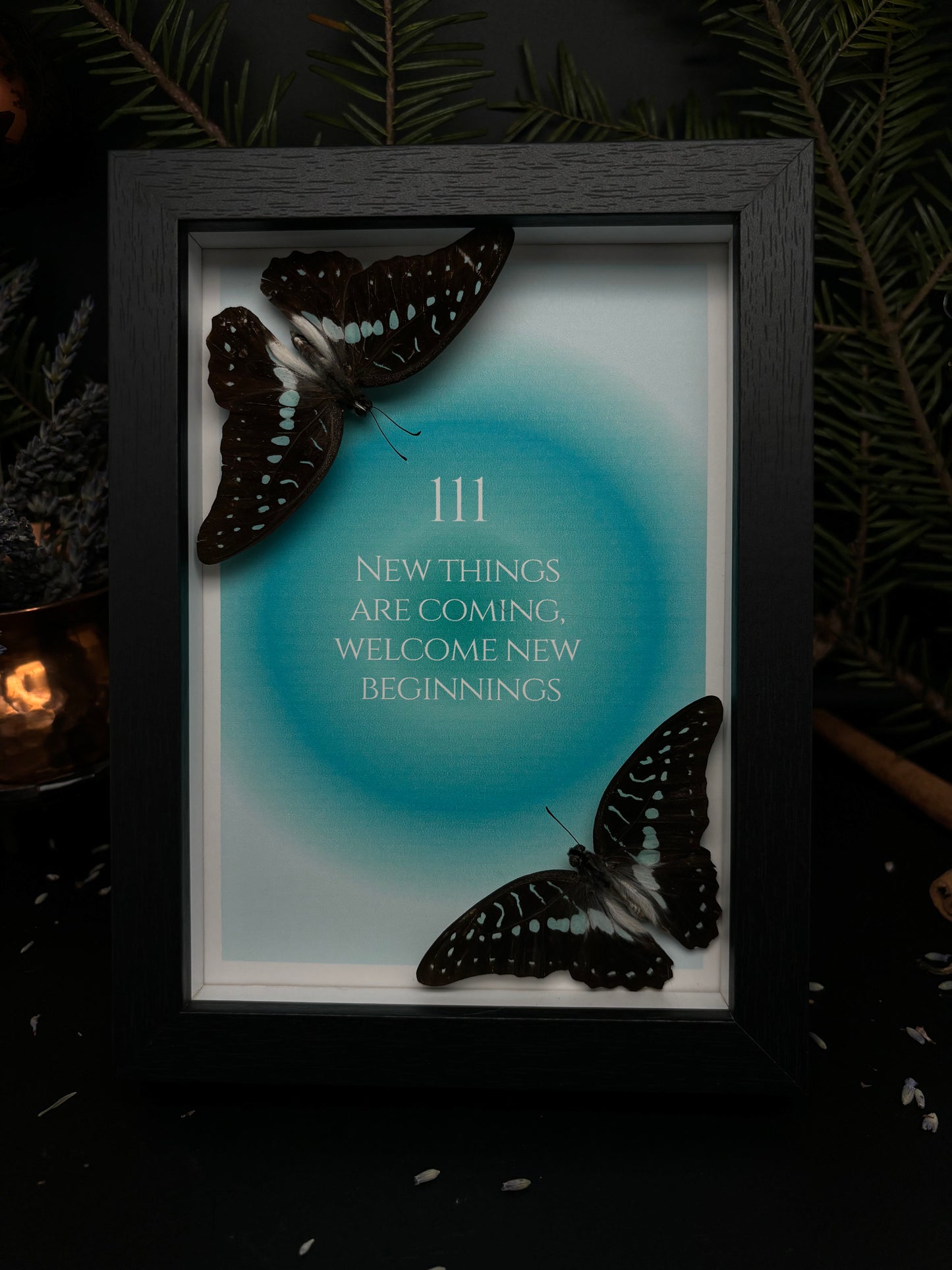 „111“ - Graphium eurepylus