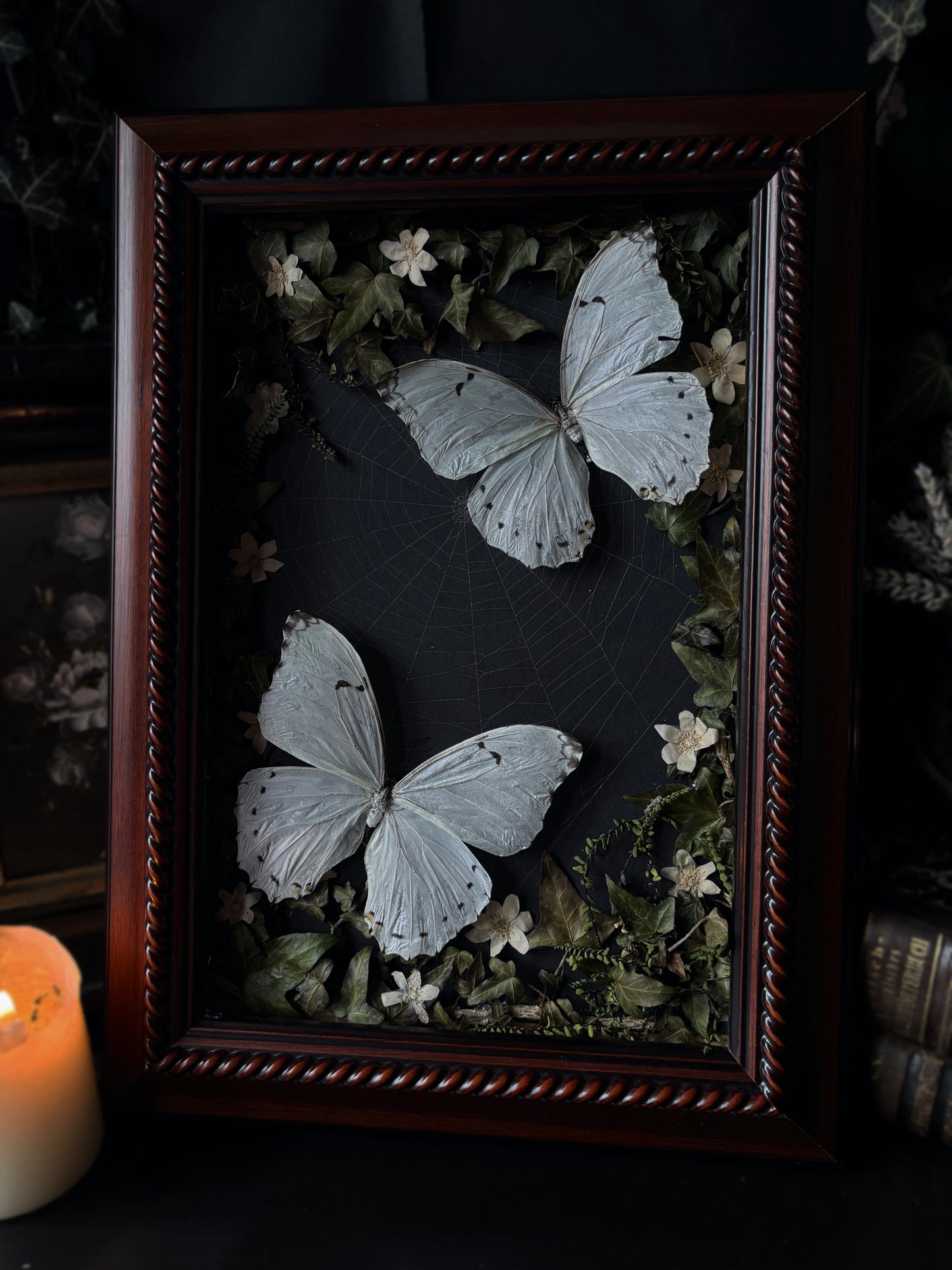 Forest remains | White Morphos Vintage Wood Frame (50x35cm)