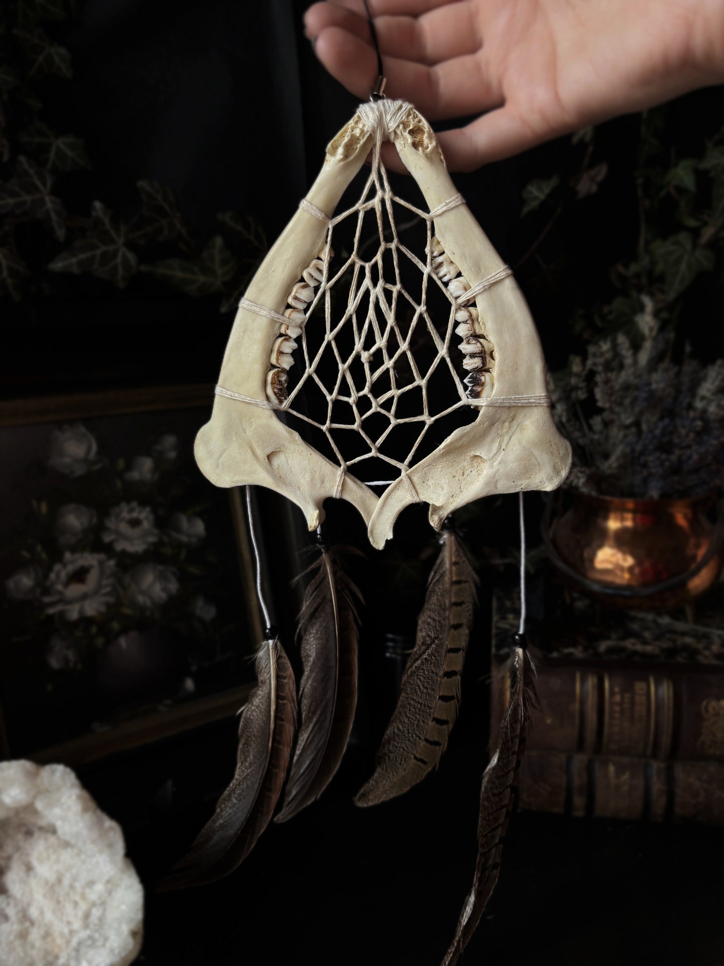 Forest Dreamer - Deer Jaw Dreamcatcher