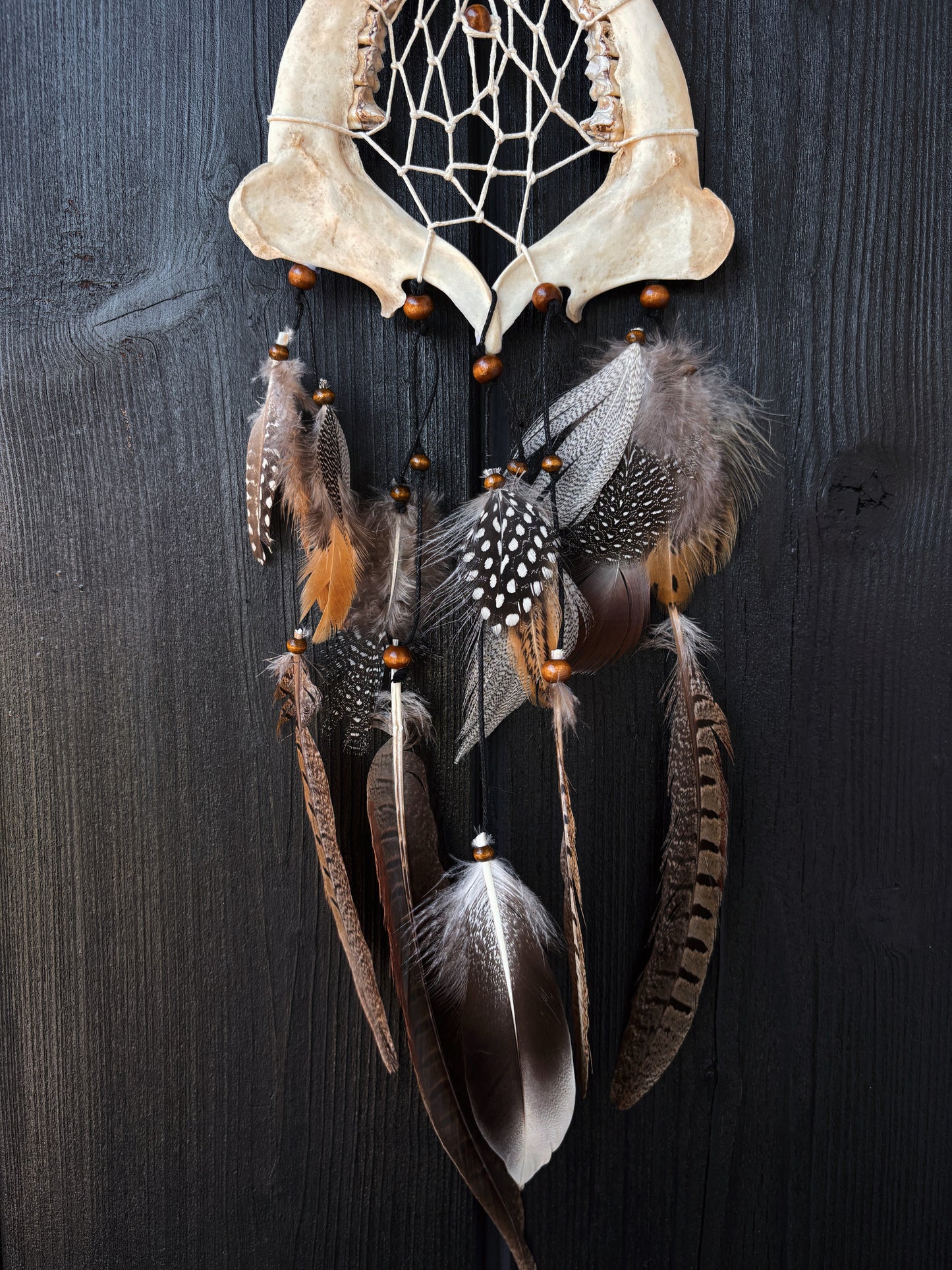 Forest Dreamer - Deer Jaw Dreamcatcher small