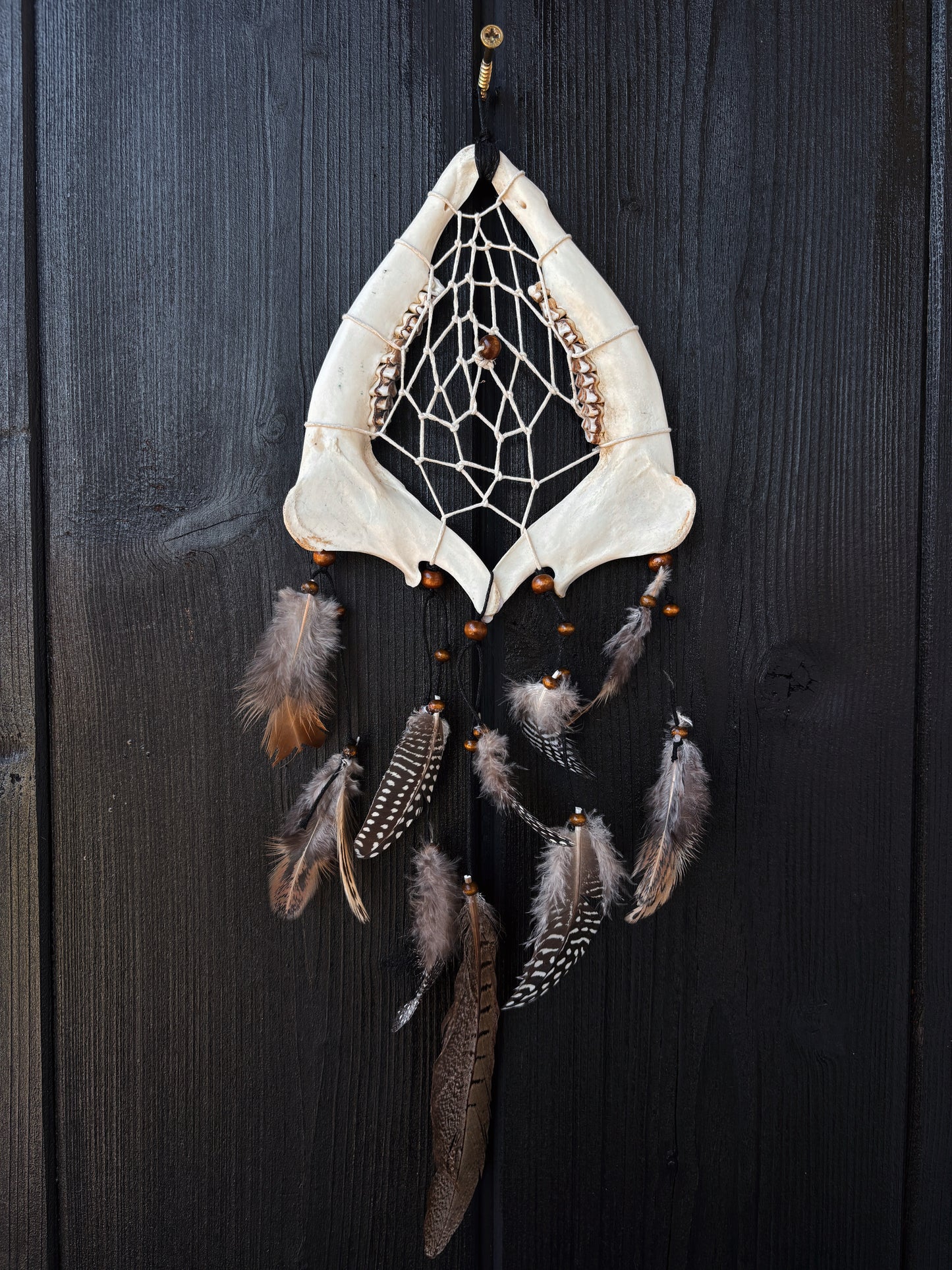 Forest Dreamer - Deer Jaw Dreamcatcher small