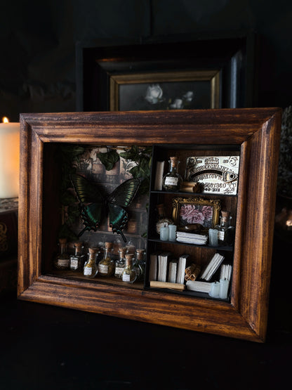 Verdant Study – Miniature Witch’s Cabinet – Papilio maackii (23x18cm)