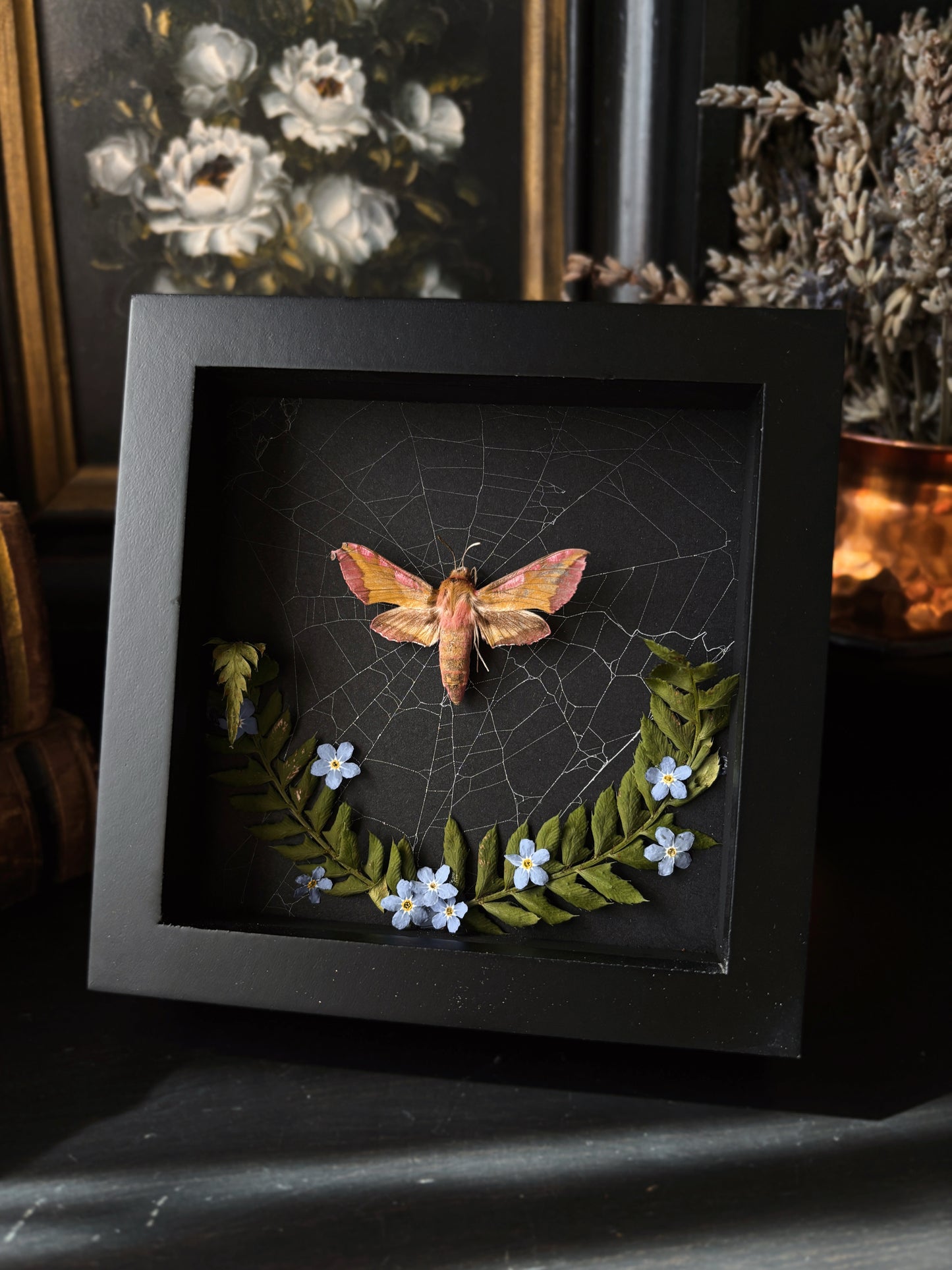 "Forget me not" - Pink moth (10x10cm)
