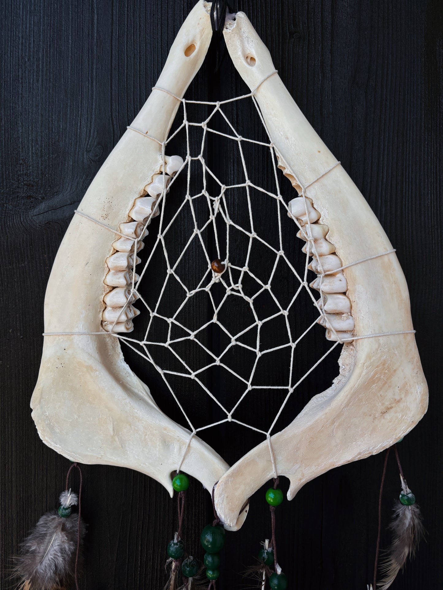 Forest Dreamer - Deer Jaw Dreamcatcher big