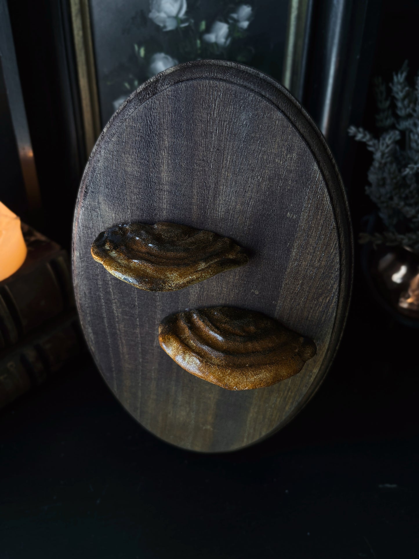 Shelf Mushroom - Polymer Clay Mushroom (21,5x14cm)