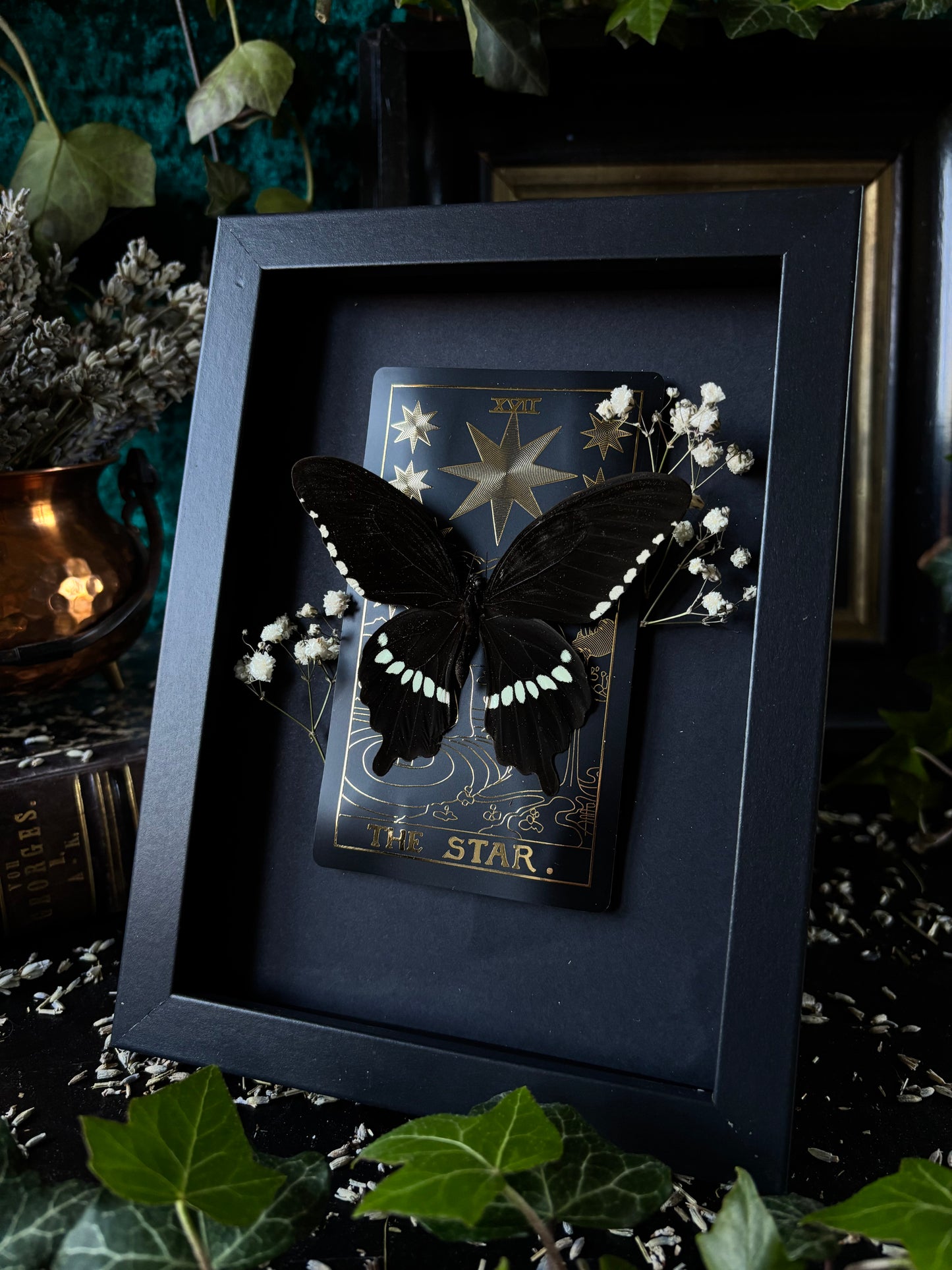 The Star Frame (18x13cm)