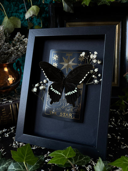 The Star Frame (18x13cm)