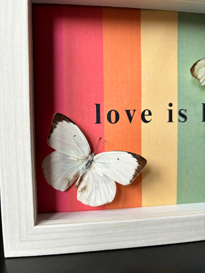 PRIDE EDITION:  "Love is love" Appias Albina