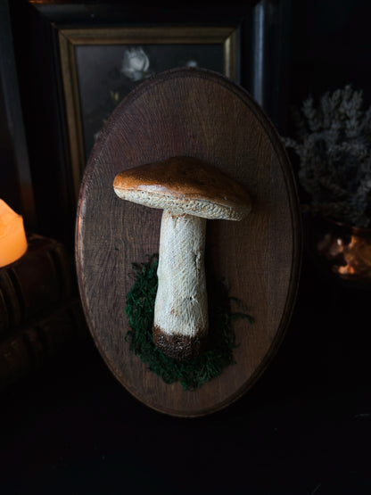 Porcini Mushroom - Polymer Clay Mushroom (21,5x14cm)