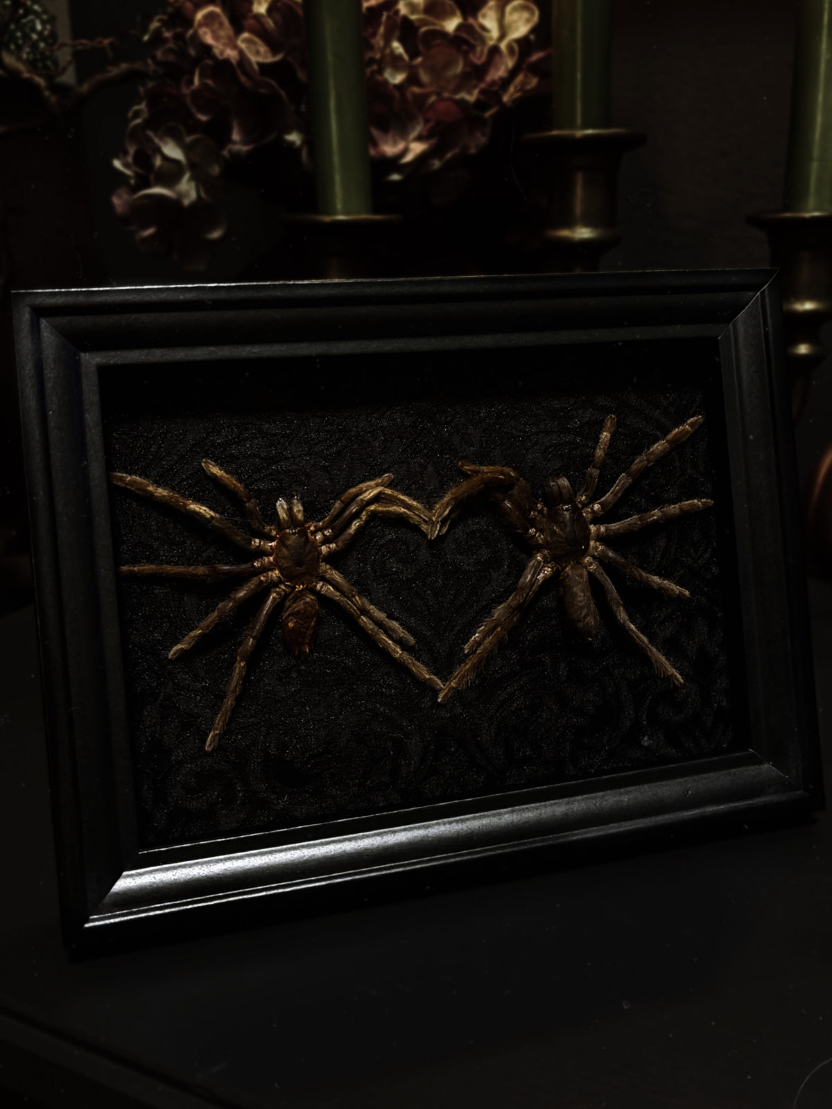 🕷️ Tarantula Heart Frame (18x13cm)