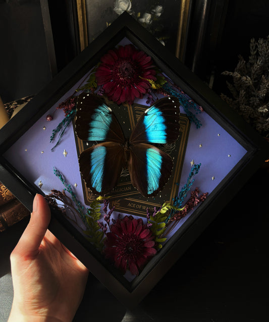 Tarot Magic – Morpho achilles – Vertical Frame (20x20cm)