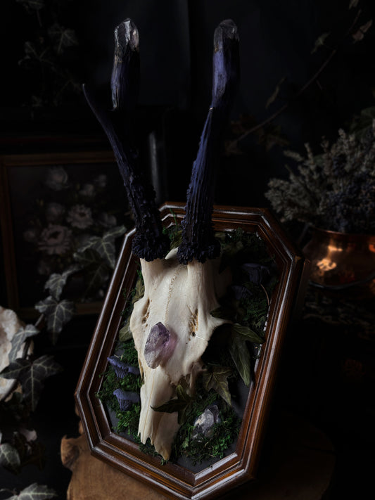 Amethyst Antler Skull Frame – Gods of the Forest IV (Vintageframe, 20x15cm)