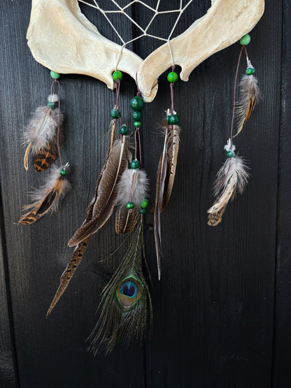 Forest Dreamer - Deer Jaw Dreamcatcher big