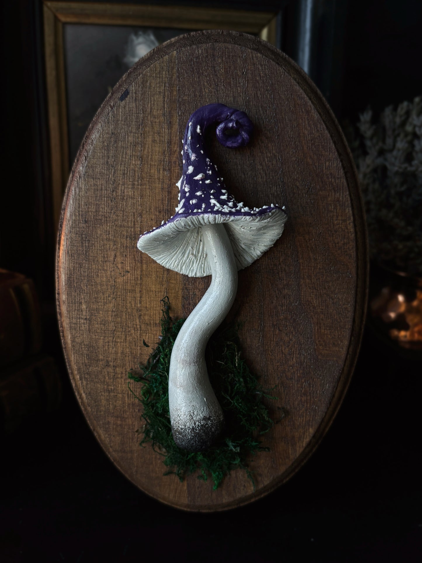 Witch’s Cap - Polymer Clay Mushroom (21,5x14cm)