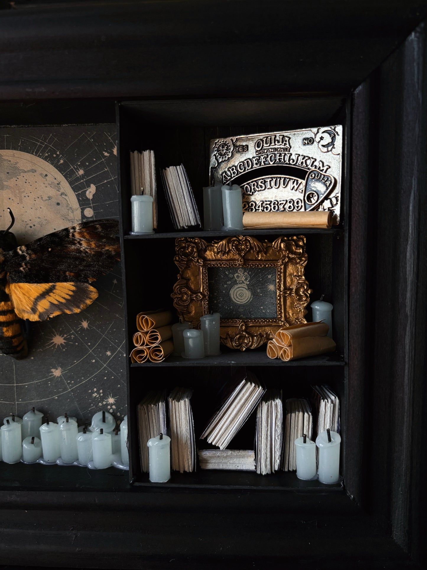 Moonlight Cabinet – Miniature Witch’s Cabinet – Acherontia atropos (23x18cm)