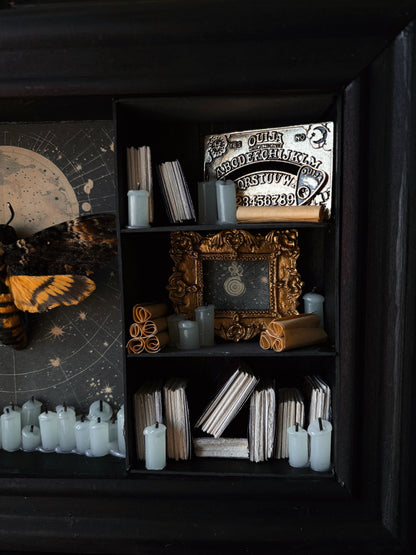 Moonlight Cabinet – Miniature Witch’s Cabinet – Acherontia atropos (23x18cm)