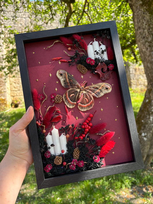 „Crimson Forest“ - Cecropia moth (30x20cm) (Kopie)