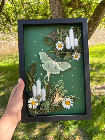 „Spring Grass“ - Luna moth (30x20cm)