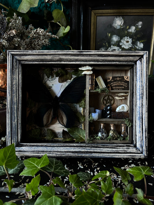 „Witches lair“ Apothecary cabinet