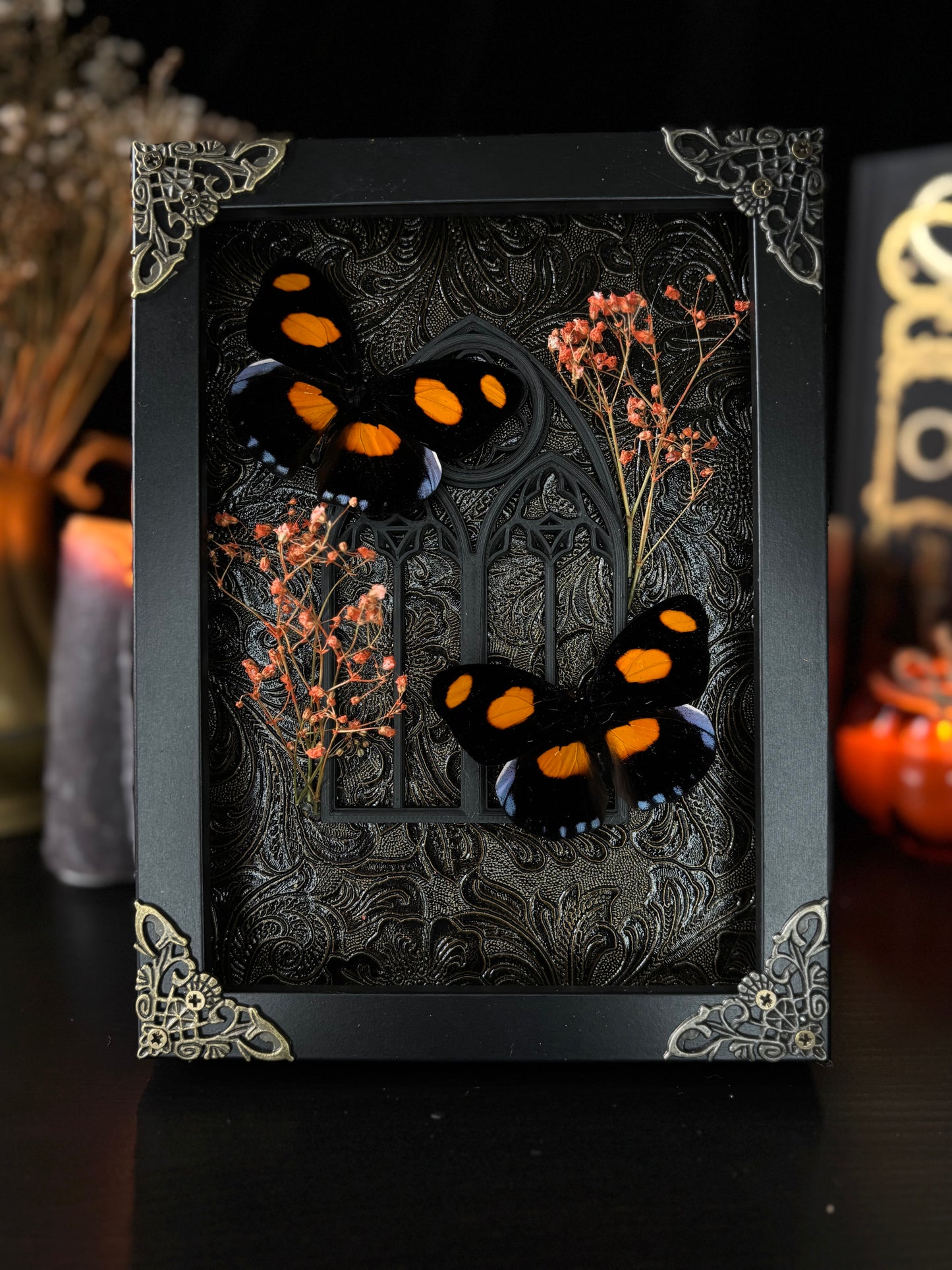Catonephele Numillia Butterfly Shrine | Gothic Window Frame with Florals (18x13cm)